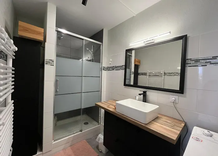 T3 Avec Balcon Et Parking Prive Au Port D'arcachon - Fr-1-319-591 アルカション